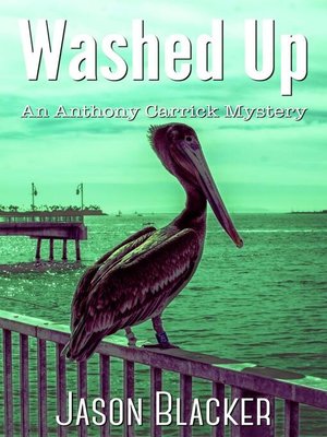 cover image of Washed Up